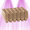 Set of 144 Biodegradable Romberg Pots
