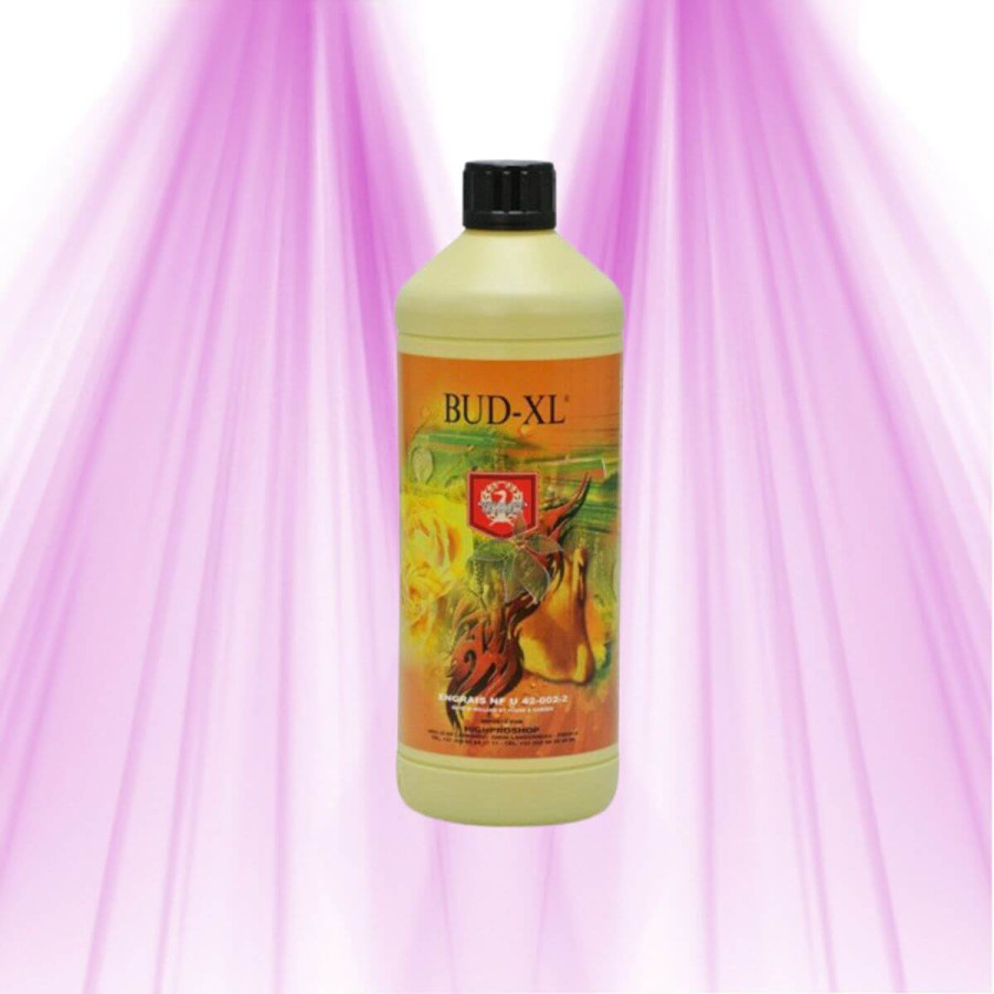 Bud XL - Flavor enhancer - House & Garden House & Garden - 1