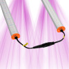 Ignator HeroLED B26W 6600K – LED Croissance pour Semis & Boutures