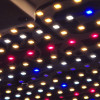 Rhino Series 130 PRO - Samsung LM301H and Red LEDs (660nm) - Intensity management CannaLED - 1