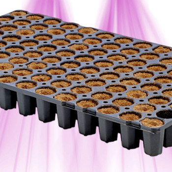 Eazy Plug Rooting Cubes 3.5 cm - 104 pieces - for initial rooting