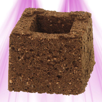 Eazy Plug - Coco Cube - Ideal for Germination and Seedling - 7.5x7.5x6cm