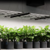 Samsung 500W LED Grow Light, IONFRAME EVO6 - AC-IF6K –AC Infinity Full Spectrum Lighting