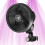 CLOUDRAY A6 FAN - AC INFINITY - Booster Fan, Wind Simulator - AC-CCA6 - for Grow Tents
