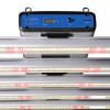 ThinkGrow - 720W Horticultural LED Grow System - Model-H Plus