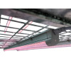 Complete Propagation Cart - LED for Seedlings and Clones - VDL - Professional System Galvanized Steel