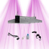 SANlight EVO 4-80 265W - High Efficiency LED Lighting for Indoor Cultivation