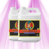 Advanced Nutrients pH Perfect Connoisseur Grow A & B - Automatic pH Stabilization