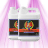Advanced Nutrients pH Perfect Connoisseur Bloom A & B - Effortless pH Stability