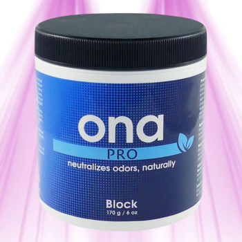 Destructeur d'odeur ONA PRO Block - 170 g - Élimination des odeurs