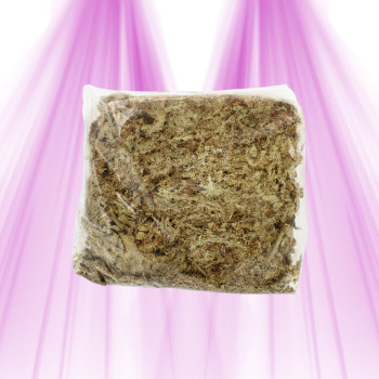 Sphaigne du Chili naturelle – 100 g – Substrat horticole premium