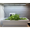 LED Grow Tube 26W 6600K Magnets + Timer — Meliflor
