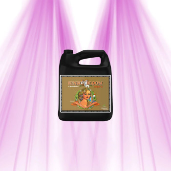 pH Perfect Sensi Bloom Coco B - Advanced Nutrients - Bloom Fertilizer