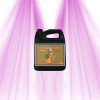 pH Perfect Sensi Bloom Coco B - Advanced Nutrients - Bloom Fertilizer