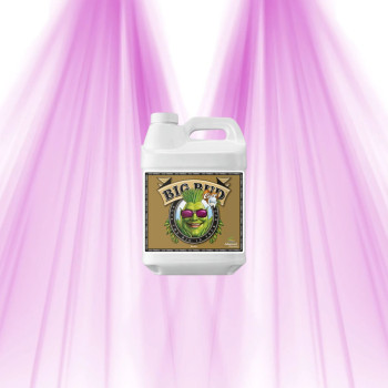 Big Bud Coco - Advanced Nutrients - Bloom Booster