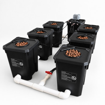 6-Pot RDWC Hydroponic System 27L – Recirculation & Root Oxygenation