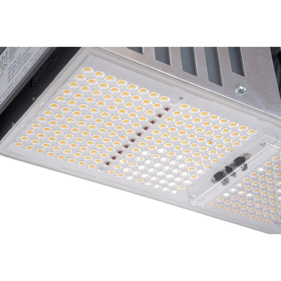 SANlight EVO 4CX S1W 625W