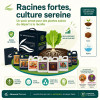 Starter KIT Master Complet - Advanced Nutrients - 250ml/500ml