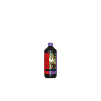 Universal Coco Booster - B'Cuzz - ATAMI
