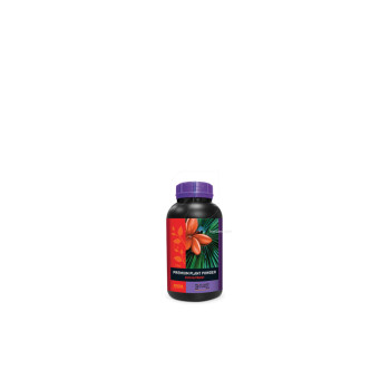 Powder Base Nutrient Coco - Premium Plant Powder - B'CUZZ