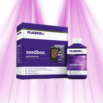 Seedbox — 12-Plug Germination Kit — Plagron