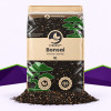 Bonsai Mix SybaSoil — free-draining growing medium for bonsai, 5 L