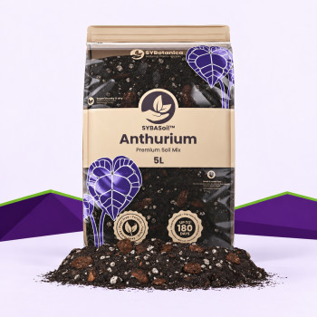 Anthurium Mix SybaSoil — growing medium for anthuriums, 5 L