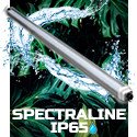 IP65