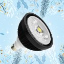 Winter LED lighting