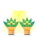 Bulbs