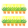 Cuttings