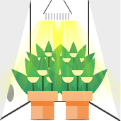 Grow tents