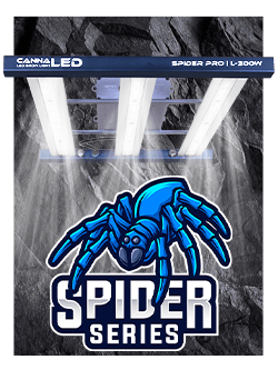 Spider PRO