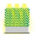 Green walls