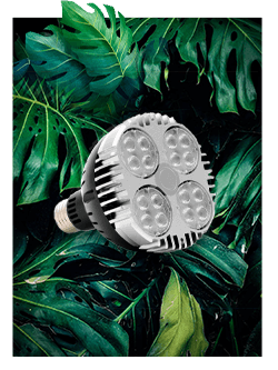 Gamme SpectraBULB