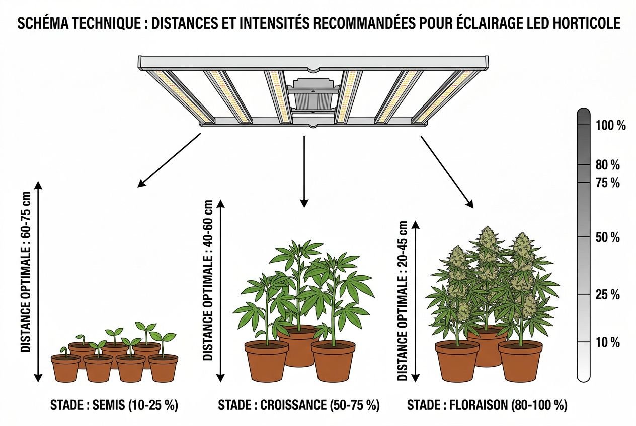 Best LED grow light for indoor growing: 2026 comparison guide