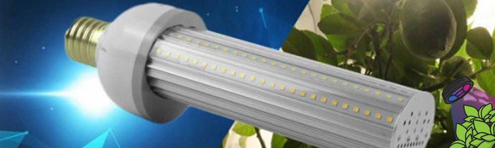 SpectraBULB X55 - The Horticultural LED bulb from BloomLED