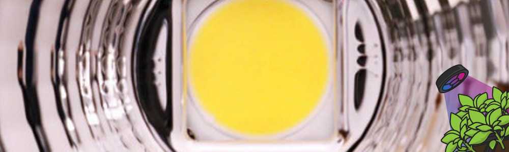What are the different types of LEDs?