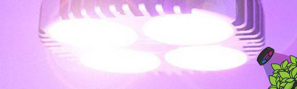 Find a good horticultural LED for beginners