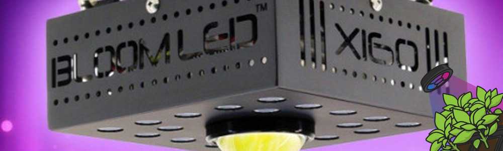 The Horticultural LED lamp: SpectraPANEL X 160