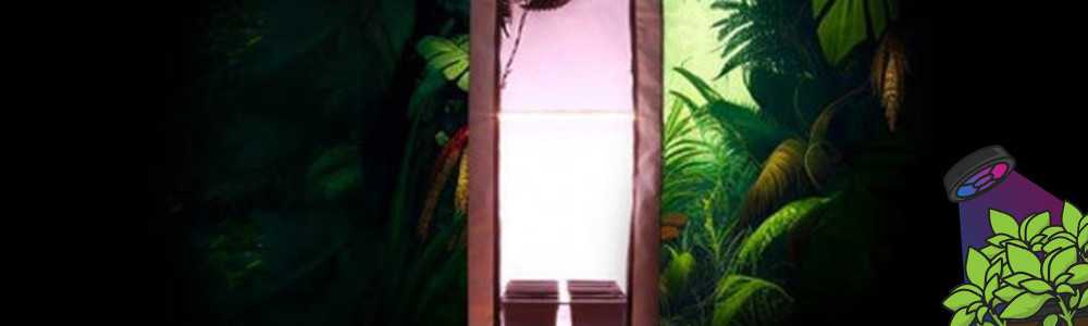 Complete Indoor Growing Pack: An Affordable, Quality Affair