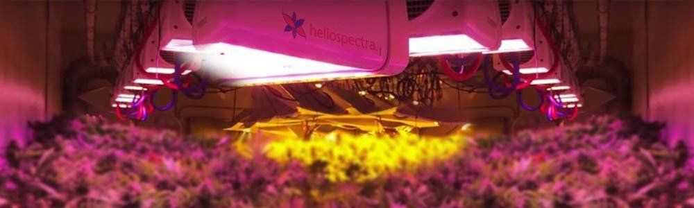 A LED culture lamp in a few words!