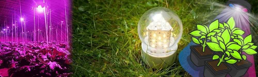 Is it important to use a horticultural LED lamp?