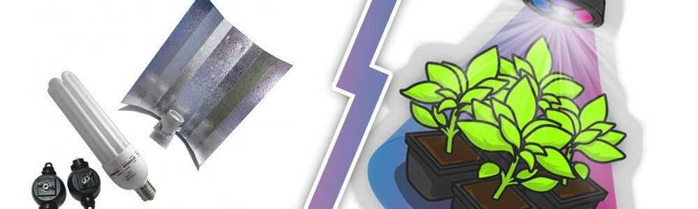 LED Grow Light or Fluorescent Lighting ?