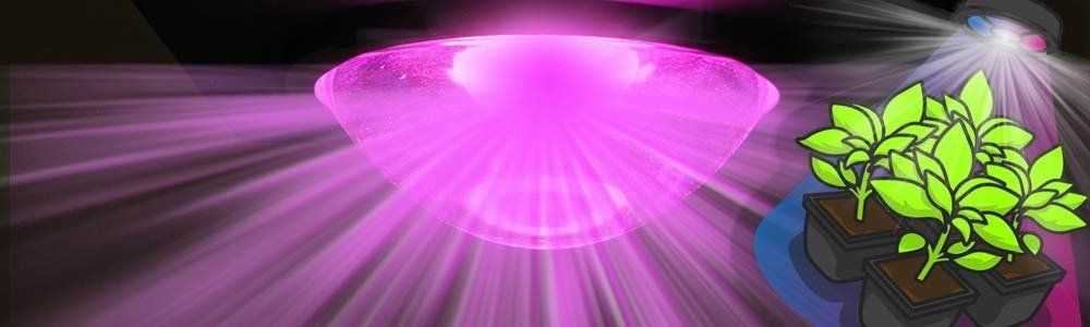 How does a LED horticultural lighting lamp work?