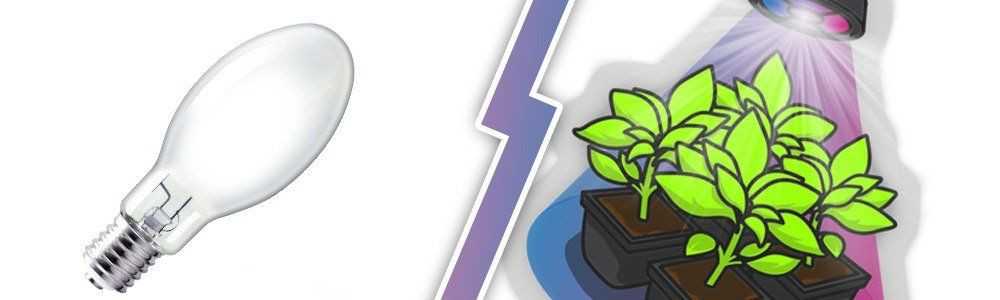 LED or HID Grow Light ?
