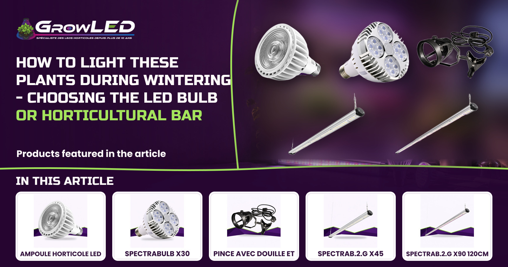 How to light these plants during wintering - Choosing the LED bulb or horticultural bar