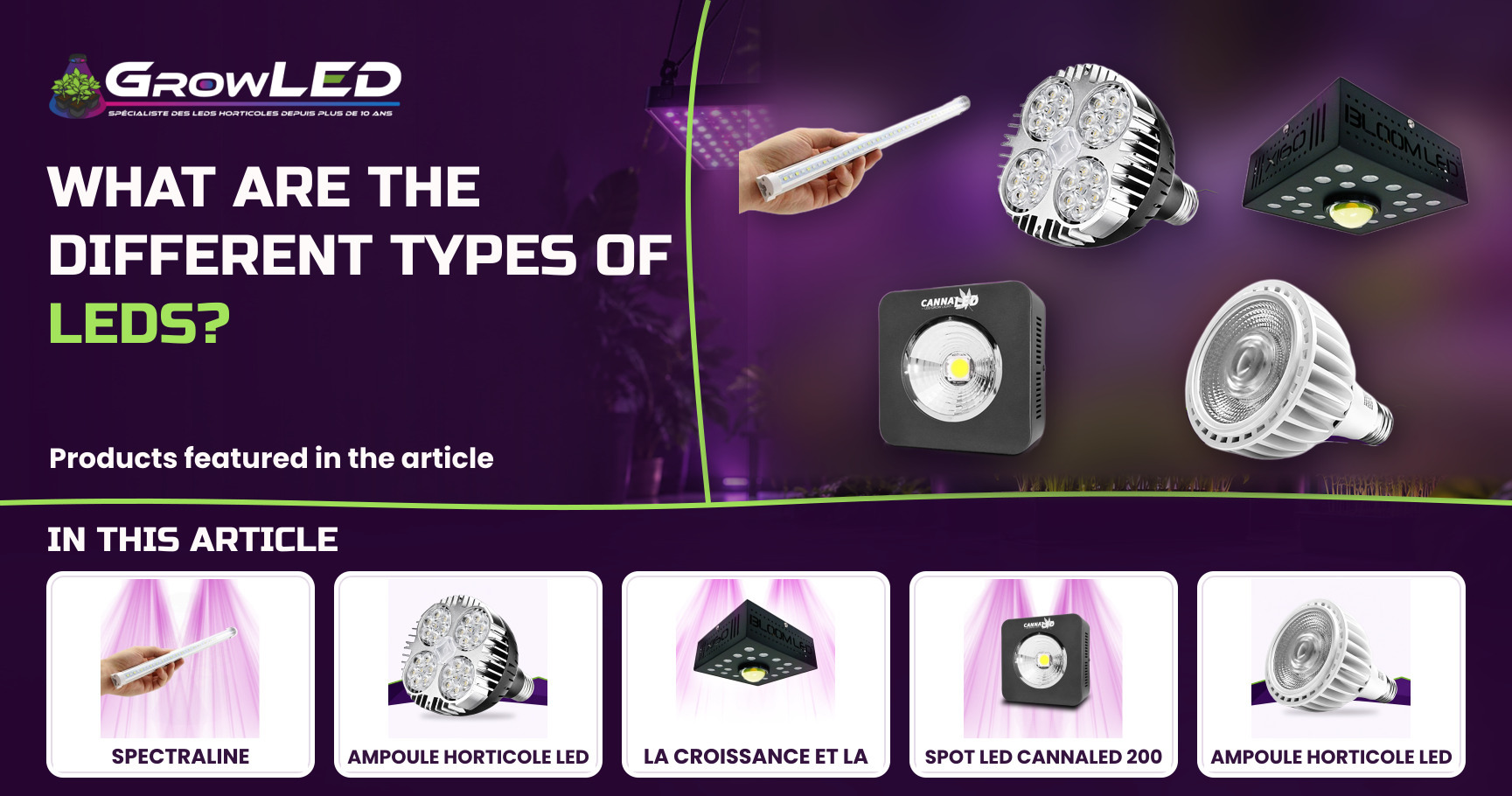What are the different types of LEDs?