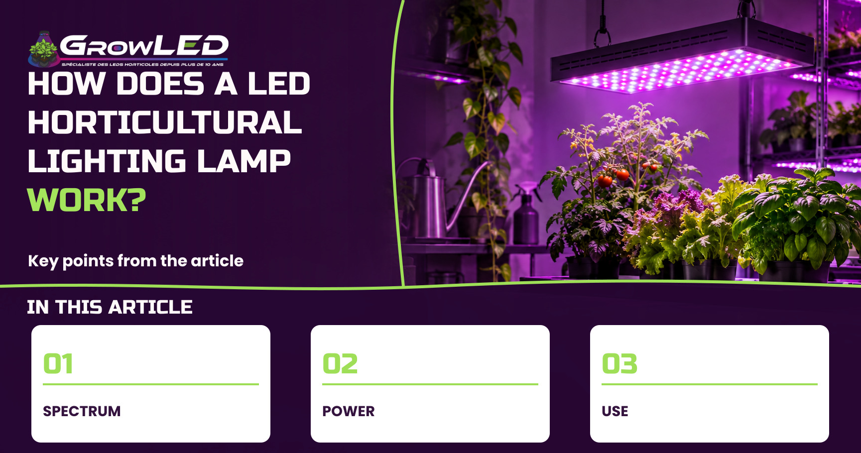 How does a LED horticultural lighting lamp work? How does a LED horticultural lighting lamp work?