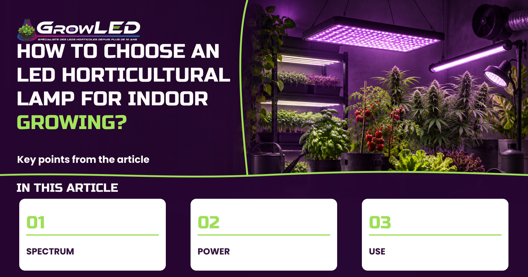 How to choose an LED horticultural lamp for indoor growing?